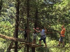 -梦幻奥陶纪景区