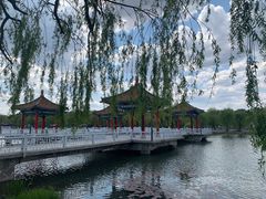 -长春市南湖公园