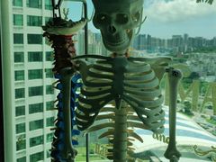 -张钰强中医正骨推拿连锁(华发商都店)