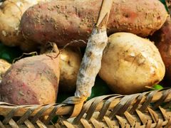 -上海多利农业发展有限公司