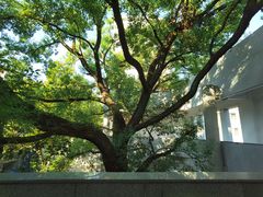 -湖北美术学院(昙华林校区)