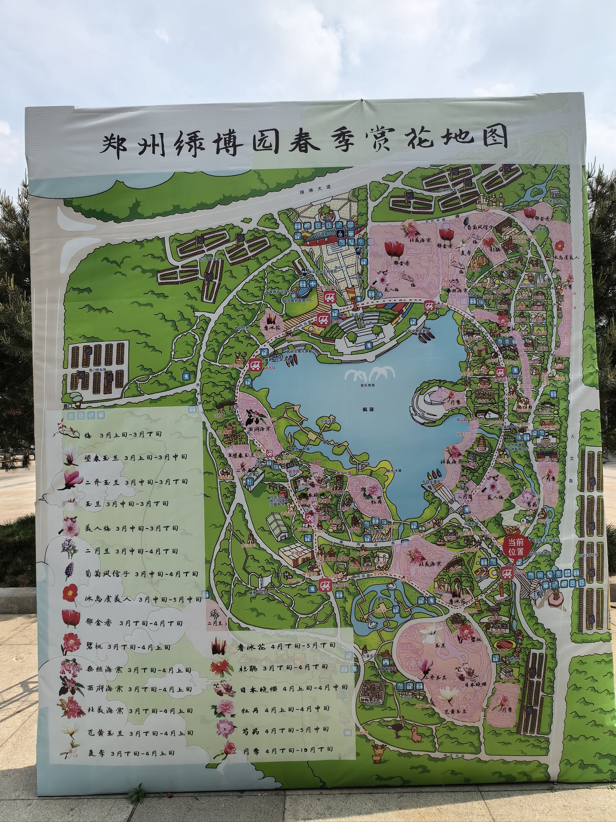 里面很大,有很多绿色植物