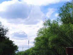 -皇家御河游(紫御湾码头)