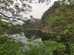 -王借岗森林公园