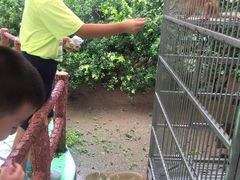 -广州花之恋城堡酒店