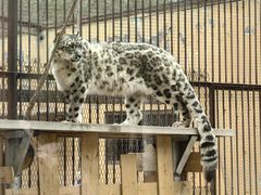 -青藏高原野生动物园
