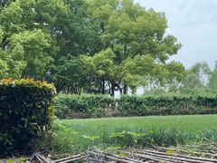 -潮府馆·非遗潮州菜·港式点心(世纪公园店)