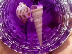 -半日闲手作DIY体验馆•陶艺•银饰戒指•拼豆(光谷店)