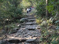 -紫金山山顶公园