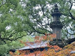 -普陀山风景名胜区-法雨禅寺