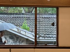 -竹子咖啡bamboo coffee