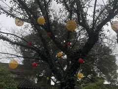 -祝家花園(伯渎港店)