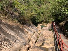 -广州白江湖森林公园