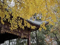 -汇龙潭
