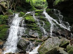 -五女峰国家森林公园