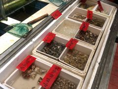 -榕树下海鲜楼(开元店)