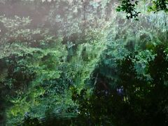 -燕晗山郊野公园