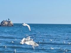 -老虎石海上公园