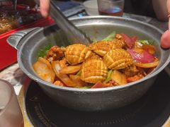 -禄婶鸡煲·打边炉