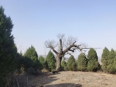 -黄河小浪底水利枢纽风景区