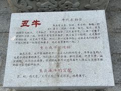 -海南文笔峰盘古文化旅游区
