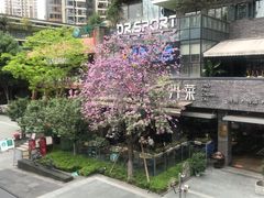 -秋木烤肉·韩国牛肉名家(高新旗舰店)