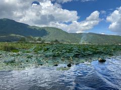 -腾冲北海湿地