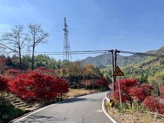 -四明山国家森林公园