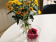 红心火龙果酸奶-茶缸AMOKKA COFFEE