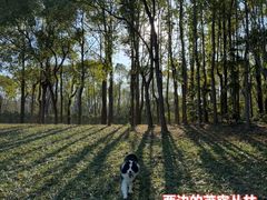 -上海山野camping·户外天幕烧烤·团建拓展营地