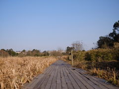 -白鹭湾湿地公园