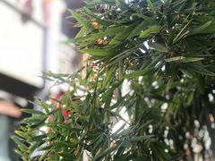 -荣阳楼(山塘街店)