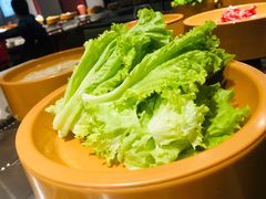 -龍歌自助小火锅(崂山丽达店)