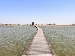 -盐城丹顶鹤湿地生态旅游区