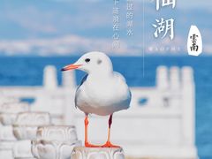 -抚仙湖禄充风景区