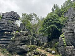 -梭布垭石林景区