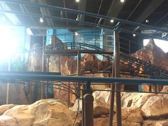 -石狮世茂摩天城摩天轮