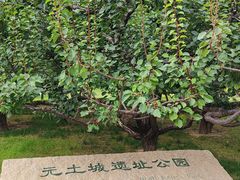 -元大都城垣遗址公园