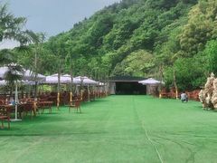 -玫瑰庄园·自助烧烤·烤全羊·团建拓展(龙泉山店)