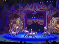 -珠海横琴长隆《卡卡虎奇遇记》