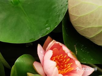 龙潭水一方，离市区有点远，50公里左右吧