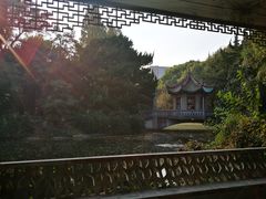 -叶家花园