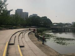 -新江湾城公园