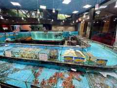 水产区-顺风山庄(水濂山店)