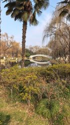 点击看大图 -玄武湖景区-情侣园游乐场