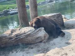 -北京野生动物园