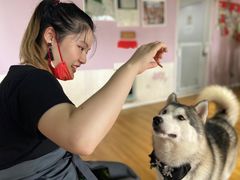 -Husky Go! 哈士奇体验馆·宠物咖啡厅狗咖