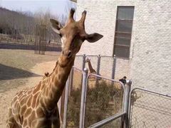 -石家庄市动物园