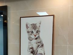 -半岛宠物医院24小时·内窥镜·牙科·碎石中心(府城大道店)