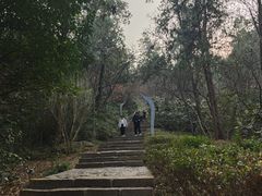 -云龙山